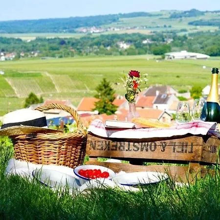 Magnifique Grange Renovee Au Coeur De La Champagne Holiday home