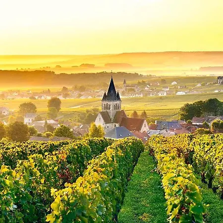 Magnifique Grange Renovee Au Coeur De La Champagne