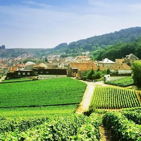 Magnifique Grange Renovee Au Coeur De La Champagne